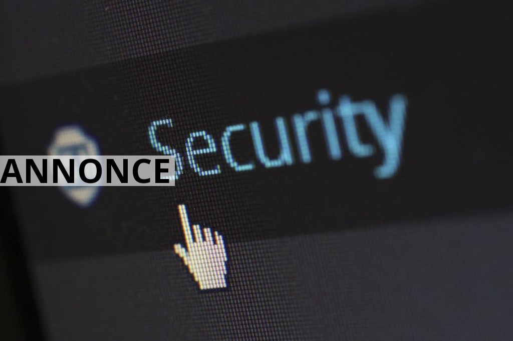 Optimer dit digitale domæne – Gode råd til en problemfri IT-oplevelse